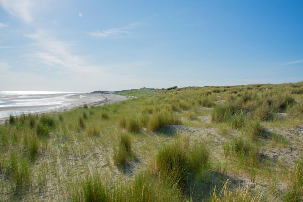vakantiehuis aan viswater